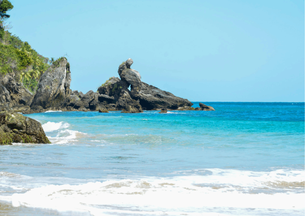 An image of a beach in Samana, a town in the Dominican Republic.